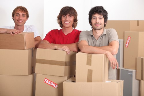 Careful fragile item packing with labeled boxes in Kentishtown
